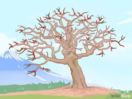 Image titled Prune Old Apple Trees Step 10