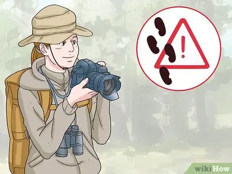 Image titled Photograph Owls Step 5