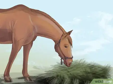 Image titled Monitor a Horse's Weight in Winter Step 9