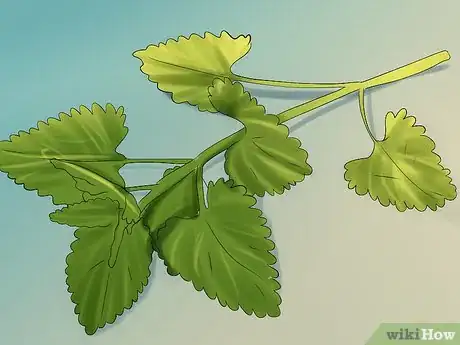 Image titled Hide Treats for Your Cat Step 10