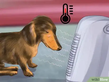 Image titled Diagnose the Cause of Dry Nose in Dogs Step 3