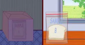 Make Mold Grow on Bread