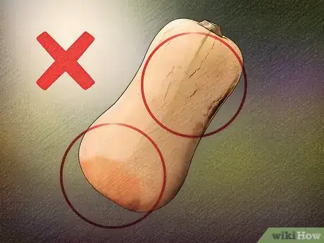Image titled Choose Between Winter Squashes Step 4