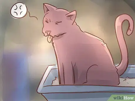 Image titled Diagnose IBD in Cats Step 3