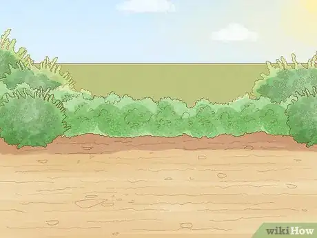 Image titled Grow Garcinia Cambogia Fruit Step 7