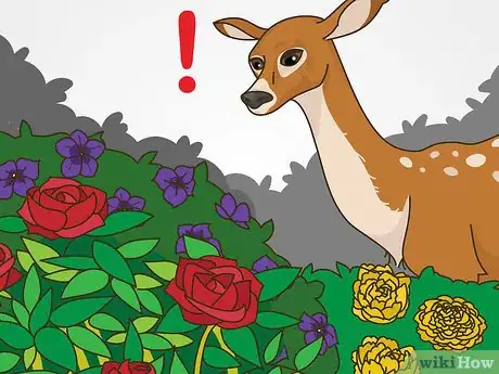 Image titled Maintain Roses Step 19