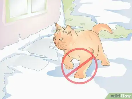 Image titled Keep a Cat Healthy Step 11