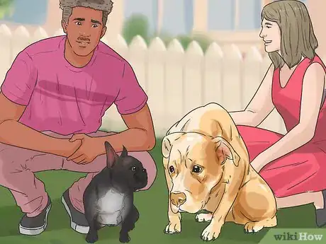 Image titled Bond with a Shy Dog Step 4