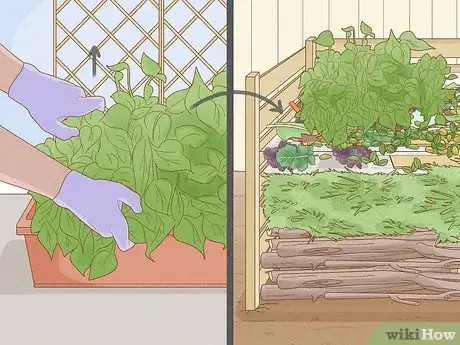 Image titled Grow Green Beans Indoors Step 12