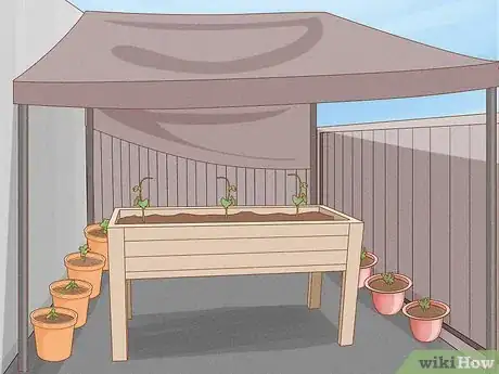 Image titled Have a Sustainable Garden in Saudi Arabia Step 9