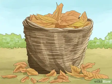 Image titled Grow Ivy Step 24