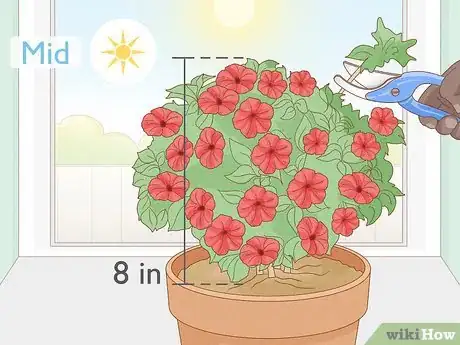 Image titled Keep Petunias Blooming All Summer Step 5