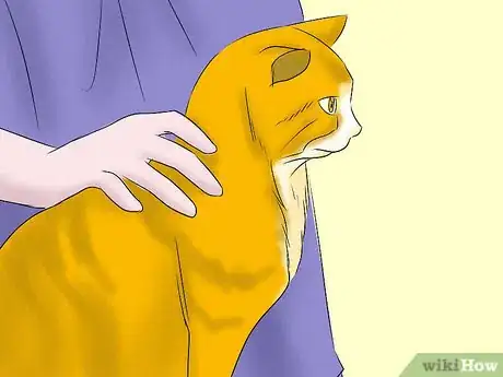 Image titled Help a Cat with Epileptic Seizures Step 9