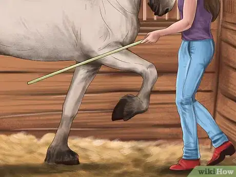 Image titled Teach Your Horse to Piaffe Step 2
