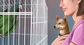 Protect Birds from Household Dangers