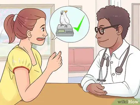 Image titled Deal with Obesity in Cockatoos Step 8