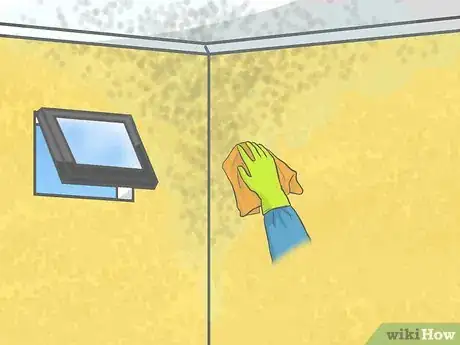 Image titled Remove Mildew from Sheetrock Step 7