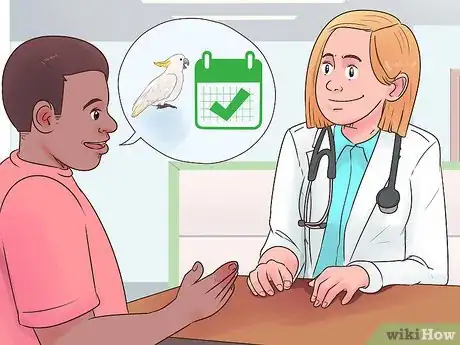 Image titled Deal with Obesity in Cockatoos Step 7