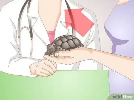 Image titled Treat Stomatitis in Tortoises Step 10