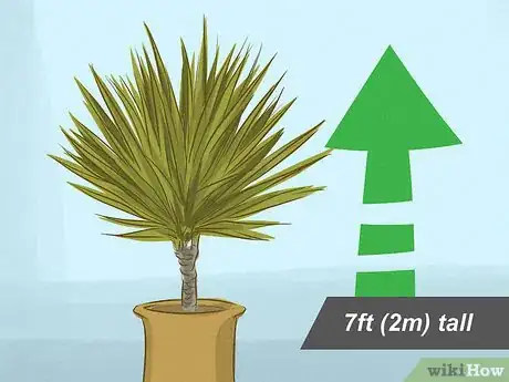 Image titled Choose Houseplants for the Bathroom Step 6