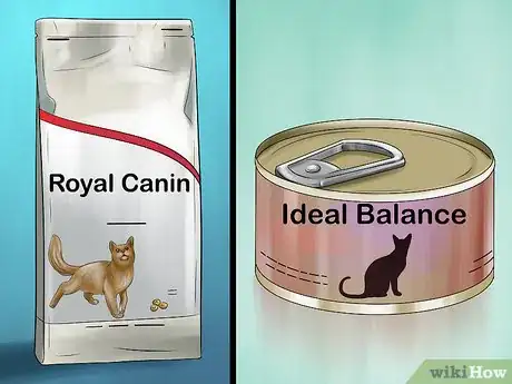 Image titled Take Care of an Oriental Cat Step 5