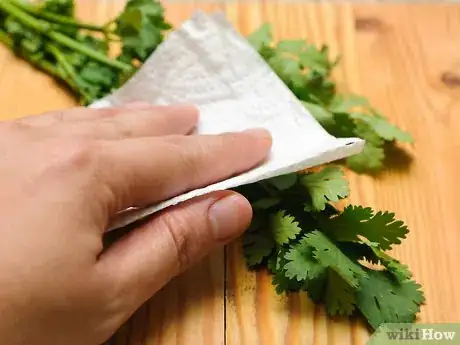 Image titled Freeze Cilantro Step 4