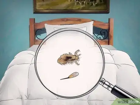 Image titled Free Your Child from Lice Step 13