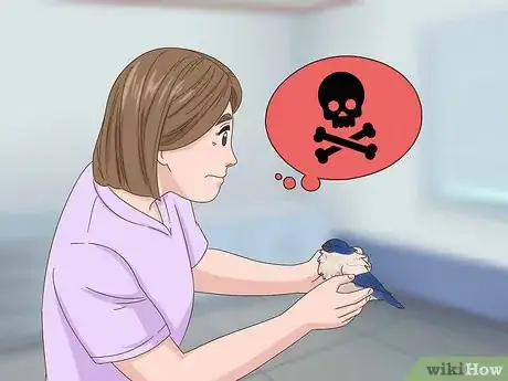 Image titled Treat Avian Pox in Finches Step 8