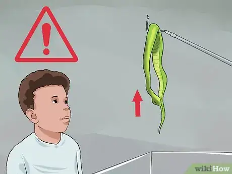 Image titled Look After a Venomous Snake Step 17