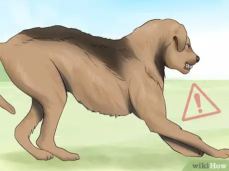 Image titled Introduce a New Dog to Your Senior Dog Step 12