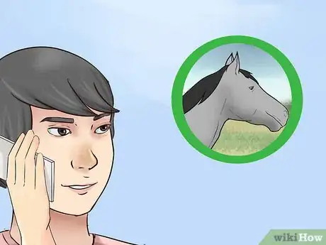 Image titled Create a Disaster Preparedness Plan for Your Horse Step 16