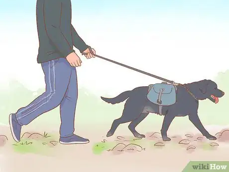 Image titled Keep Your Dog Entertained Step 14