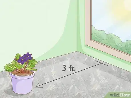 Image titled What Kind of Sunlight Is Best for African Violets Step 1
