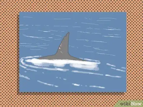 Image titled Identify an Orca Whale Step 4