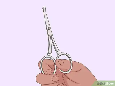 Image titled Keep Hair Out of Your Cat's Eyes Step 2