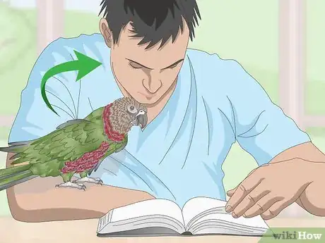 Image titled Know if a Hawk‐Headed Parrot Is Right for You Step 4