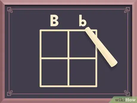 Image titled Use a Punnett Square to Do a Monohybrid Cross Step 3