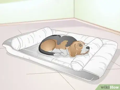 Image titled Select a Dog Bed Step 9