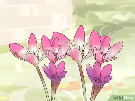 Image titled Make a Fall Flower Garden Step 5