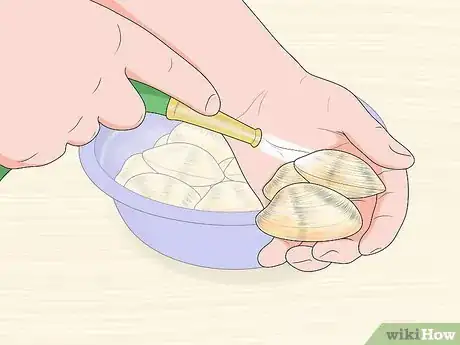 Image titled Rake Manilla Clams or Steamer Clams Step 10