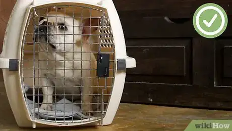 Image titled Help Puppies Learn Separation Skills Step 15