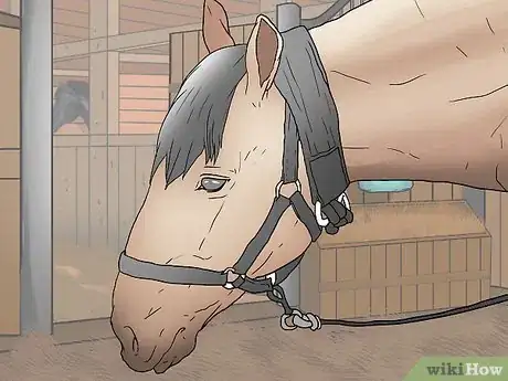 Image titled Care for a Blind Horse Step 6