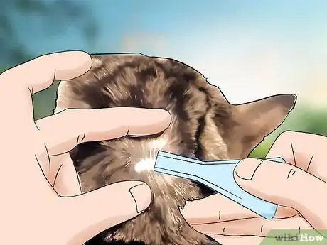 Image titled Fumigate for Fleas Step 12