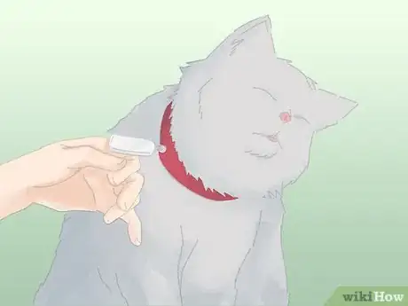 Image titled Handle a Stray Cat Step 7