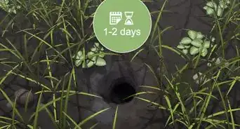 Find a European Wasp Nest