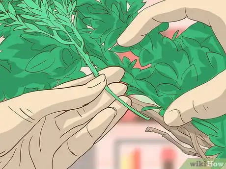 Image titled Make a Boxwood Wreath Step 12