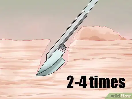 Image titled Dig Pacific Razor Clams Step 6