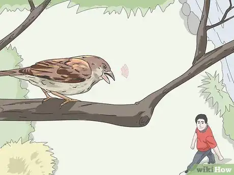 Image titled Identify Bird Calls Step 4