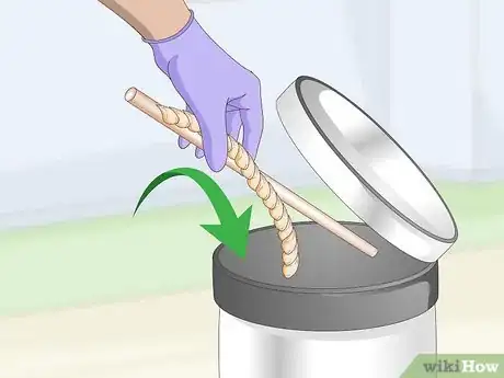 Image titled Treat Chlamydiosis in Lovebirds Step 11