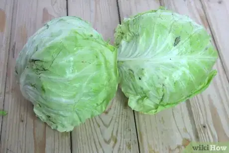 Image titled Cut a Cabbage Into Wedges Step 5